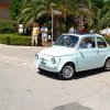 Montevago 2010 (298)